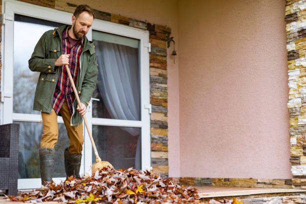 Basement Cleanout Services in Pecan Plantation, TX